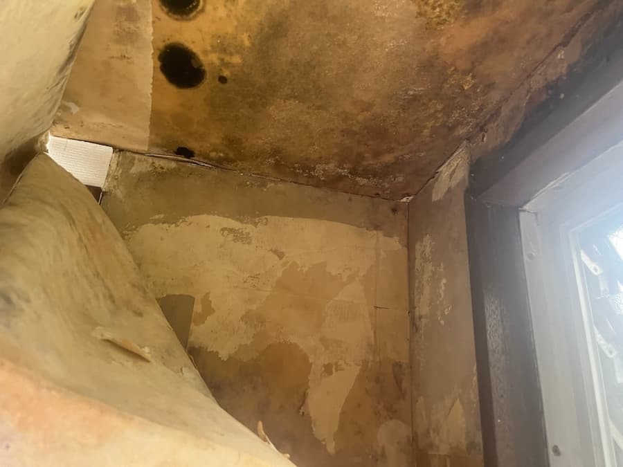 鉄骨造4階建て最上階の雨漏り被害：天井入隅から浸出した水分による内装ボードのカビと腐食