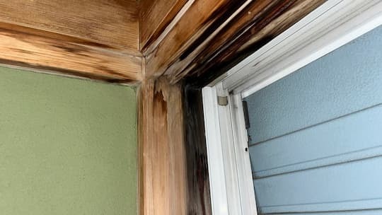 木造和室の窓枠上部から発生した雨漏り：木材に浸出した黒ずみと腐食の状況